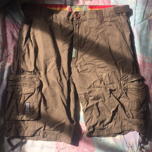 Lrg | Shorts | Lrg Roots People Brown 